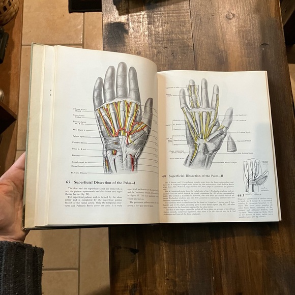 Grant's Atlas of Anatomy - 6th Edition - Vintage 1972 Illustrated Medical Book - Picture 9 of 16